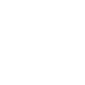 turquoise minimalist bird wing logo (1)