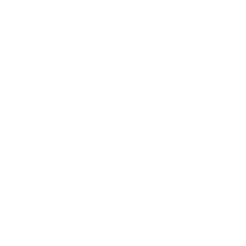 turquoise minimalist bird wing logo (1)