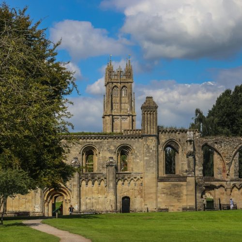 thomas-allsop-XDRcSE4KrgM-unsplash